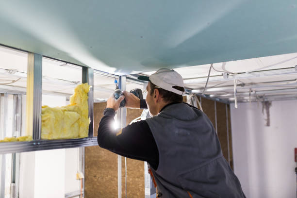 Best Insulation Maintenance and Repair in USA